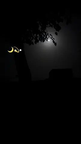 Pa Nema Lara De prehawo Dm• ❤️‍🩹🖤🥀• #flypシ #accuntfreez😔 #viraltiktakteam #viraltiktakteamthisvideo #fffffyyyyyyyyyppppシ #flllyyyyyyyyyyyyyyyyyy #tiktakteam😥_plz_👑_foryou_pr_laoo_ 