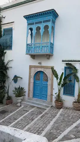 سيدي بوسعيد المدينة الزرقاء ....... #سيدي_بوسعيد 