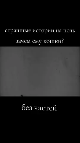 #рекомендации #истории #котбигимот #страшныеистории #страшилки 