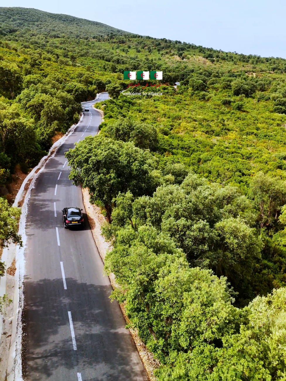 طريق ڨرباز..فلفلة..سكيكدة..متعة بصرية ماشاء الله 💚🇩🇿  #🇩🇿 #الجزائر #سكيكدة #skikda #فلفلة_سكيكدة 