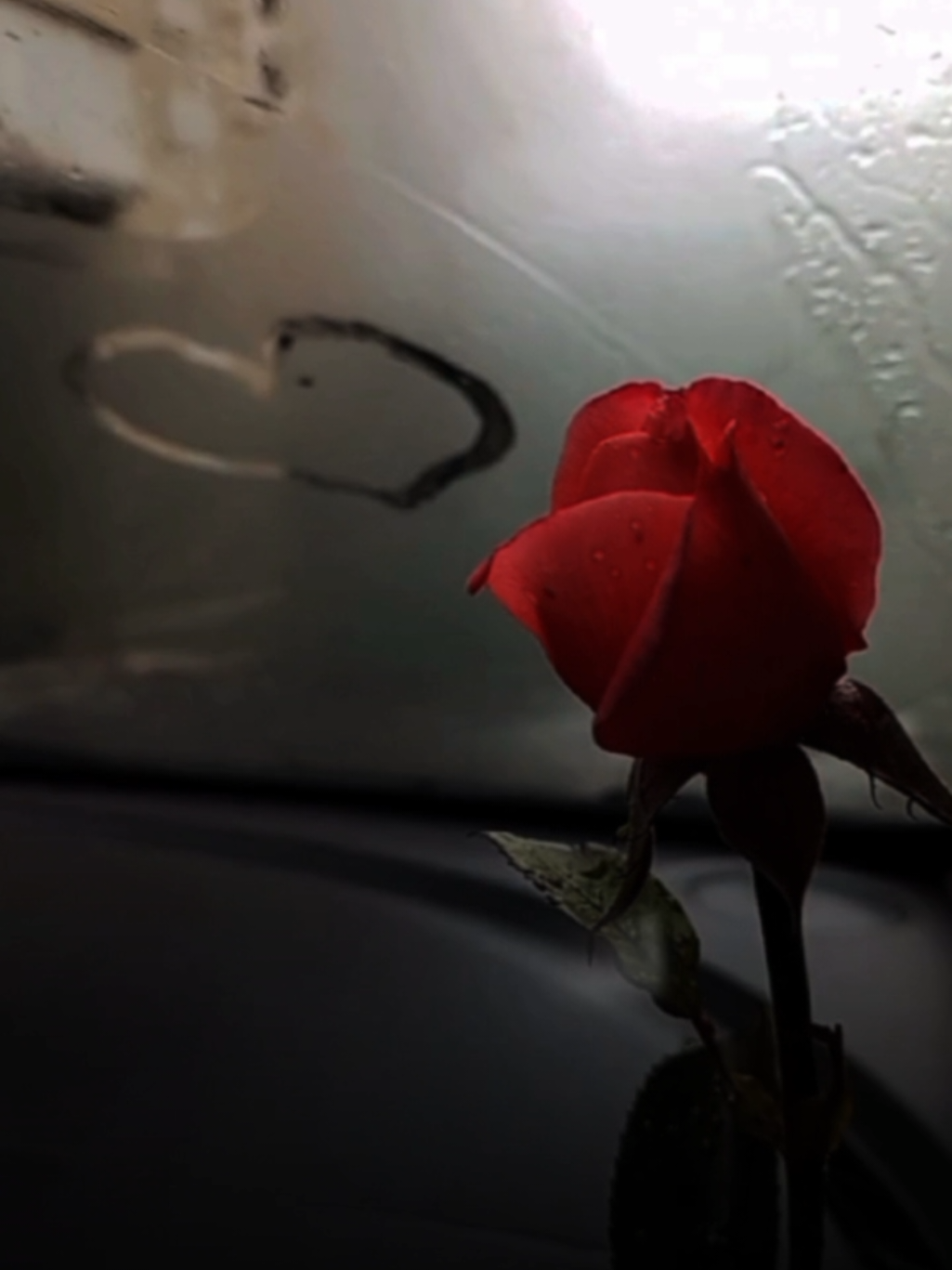 انت وعيونك الي ❤️✨ #فهد_نوري #منشن #تصويري #lavendr81 #CapCut 