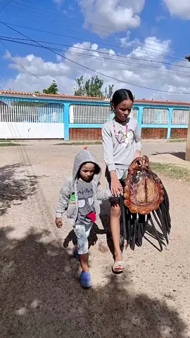 2da parte de súper pollo el héroe emplumado 😂😂#corovenezuela🇻🇪 #depradadorhumor #usa🇺🇸 #humor 
