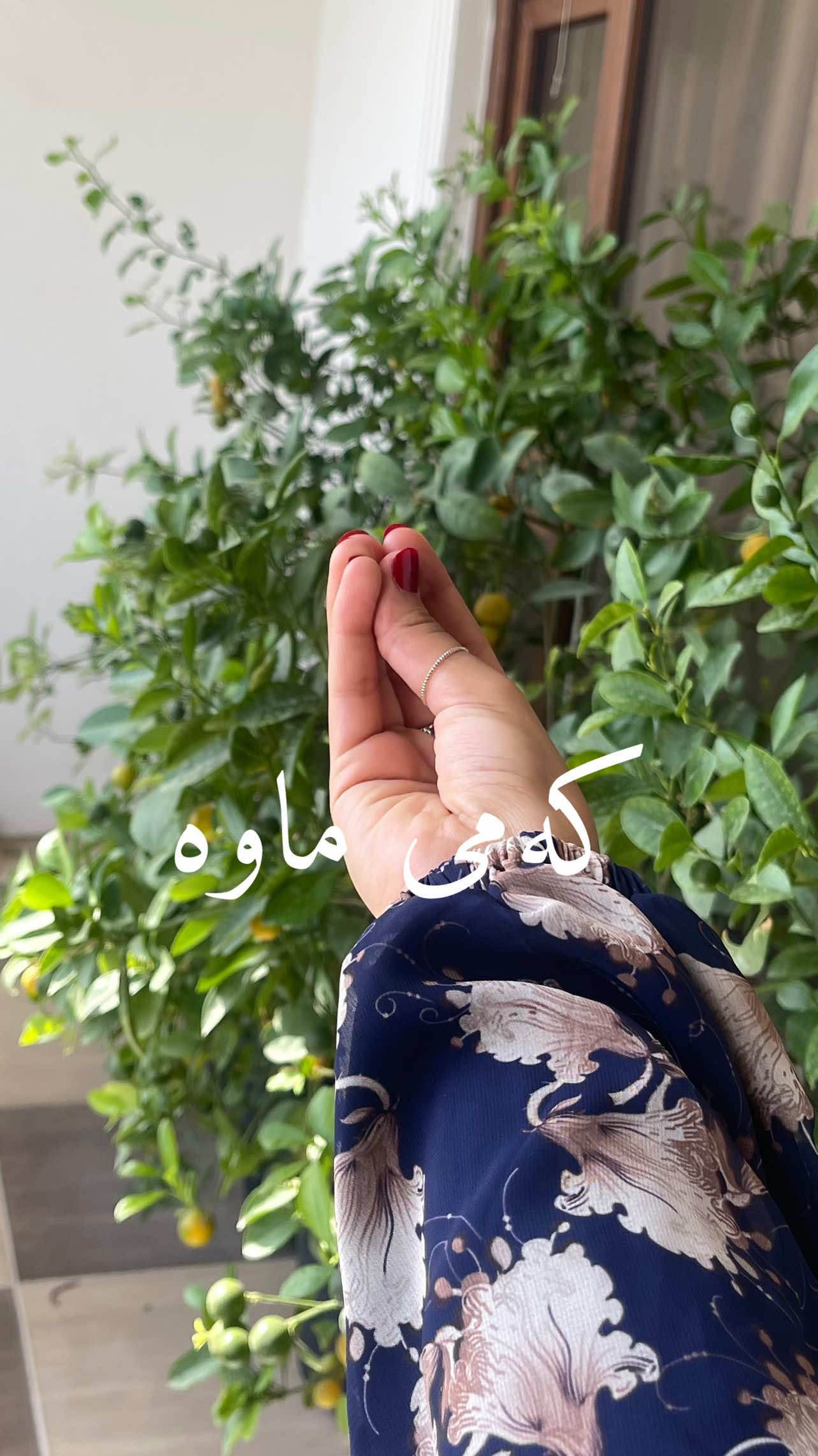 گەشتن بە چ قۆناغێک لۆ خوێندن؟🫠