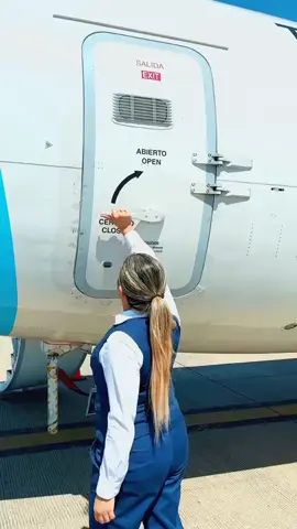 Imagine for yourself how much difference there is between how to open the doors of regular passenger planes and expensive private jets#pilot #flightattendant #foryoupage #viewsproblem #fypシ゚ 