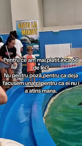 Pentru o fetiță contează fiecare detaliu 💙🐬 Prima poză nu a fost „perfectă”… așa că am stat încă o dată la coadă doar ca Sarah să atingă delfinul ✨ Bucuria ei a meritat tot 🥹❤️ #momlife #amintirideneuitat #delfinariu #fericire #familytime  