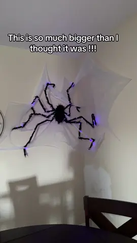 Don’t mine my wall 🤷🏼‍♀️ #halloweentok #tiktokshophalloween #giantspider 