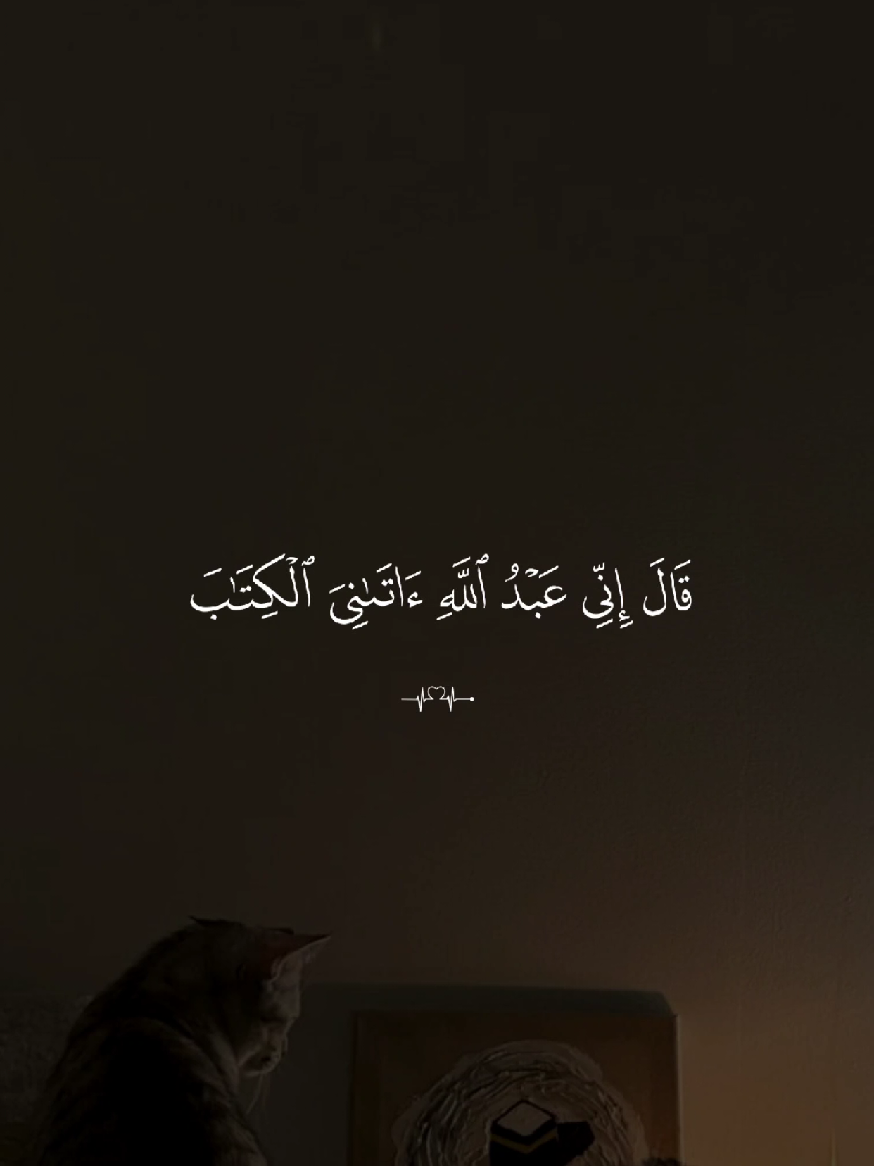 #قران #quran #قران_كريم #Allah #اللهم_صلي_على_نبينا_محمد 