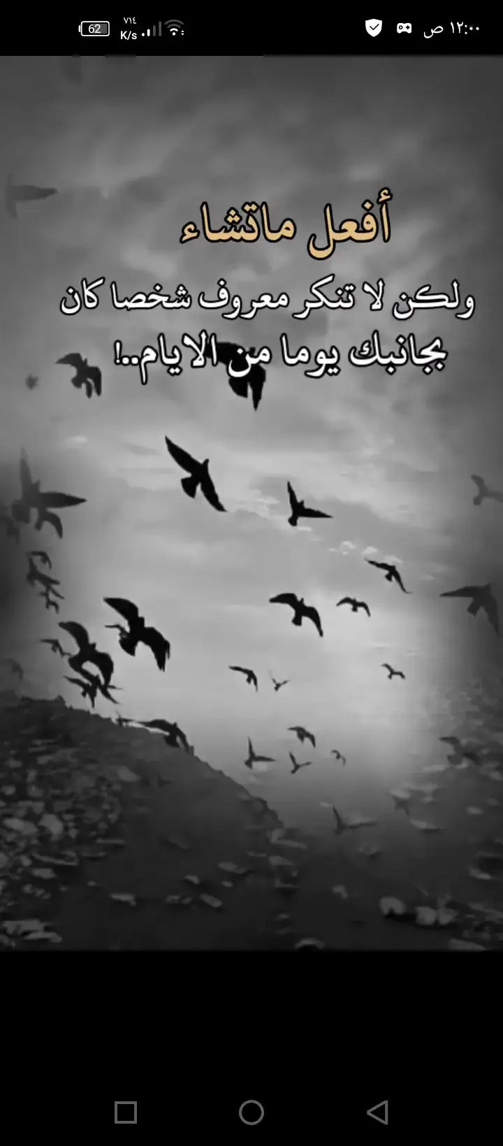 #نطيني_عباره_اصمم_عليها #ستوريات 