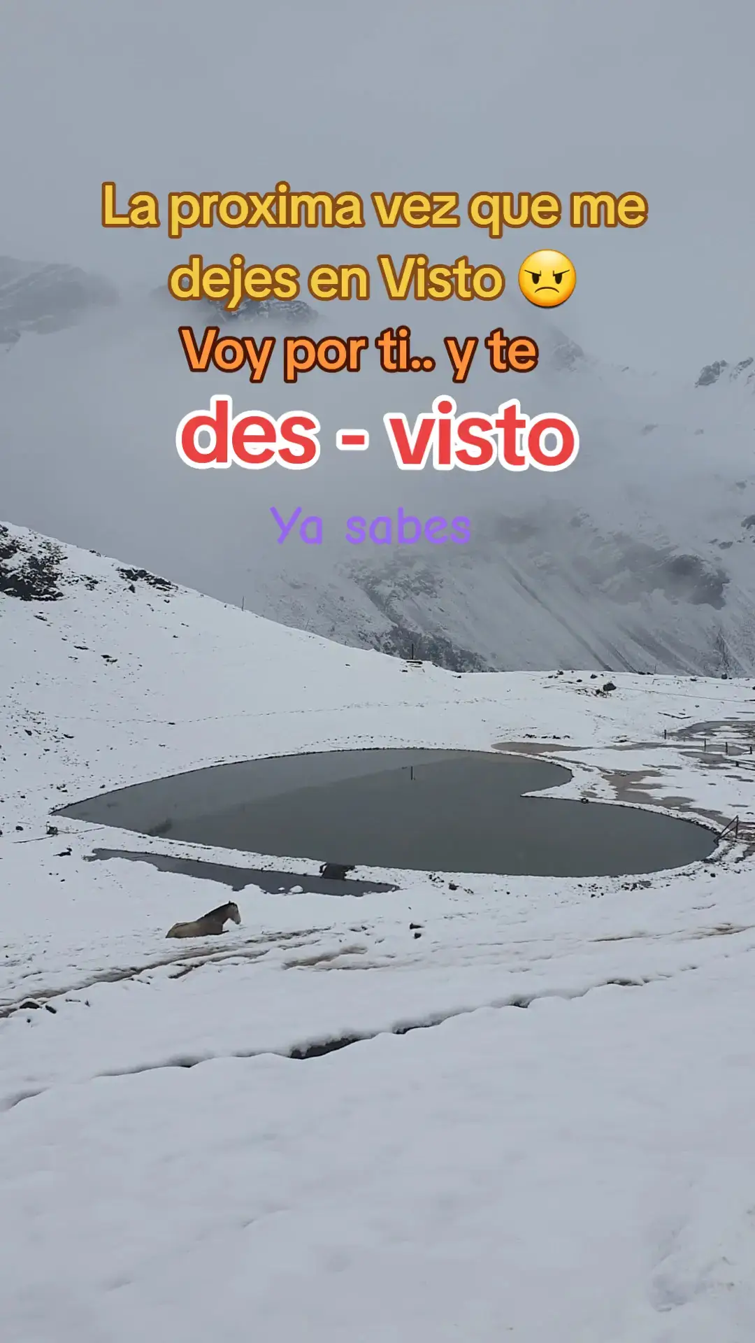 #paradedicar🙈❤️🙈 #amoresverdaderos #amigosconderechos #laguna #nevado 