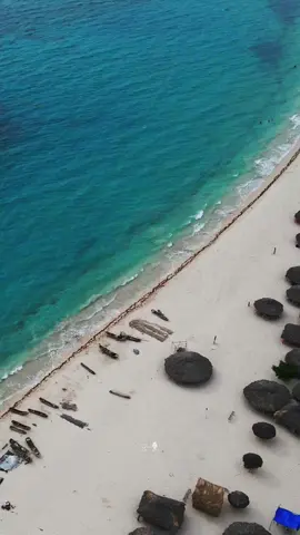 Port Salut isn’t just a beach, it’s proof that Haiti’s beauty goes beyond the headlines.  White sand, crystal-clear waters, peace you can feel…  This is the side of Haiti they don’t show you on TV. #hiddensidesofhaiti #portsalut #ayisyen #okay #fyp