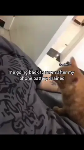 mee 😭 #phone #charging #cat #mom #me 