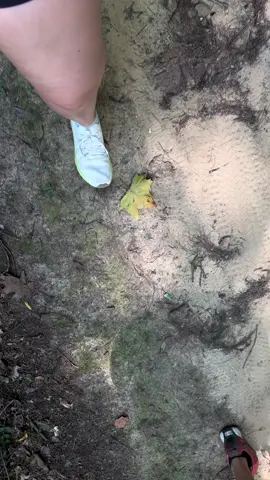 What a great hike! 