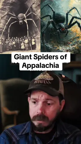 Giant Spiders of Appalachia. #giantspiders #scarystories #spookystory #ghoststories #cryptid 