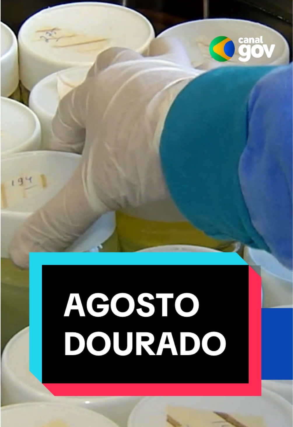 AGOSTO DOURADO I Governo federal investe mais de R$ 40 milhões em bancos de leite. Os recursos serão destinados a 226 unidades da Rede Brasileira de Bancos de Leite Humano (rBLH-BR), com o objetivo de qualificar e ampliar os serviços oferecidos. “Iniciamos a Semana Mundial da Amamentação com a liberação destes recursos para fortalecer os Bancos de Leite Humano, mantendo o Brasil como referência mundial. Amamentar é um gesto que vai além da nutrição. É um ato de cuidado, vínculo e saúde, com impactos positivos para o bebê e a mãe”, reforça o ministro da Saúde, Alexandre Padilha. #saude #governofederal #noticias #bancodeleite #hospitais