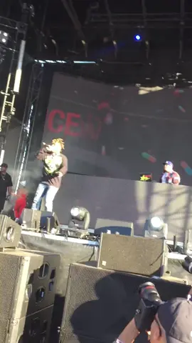 RIP @juicewrld-black & white @Rolling Loud sep 16, 2018 #rollingloud #juicewrld #chicago #legend 