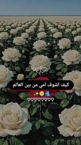 #احلا #ام #بلدنيا🌏 #امي #لايك_متابعه_اكسبلور 