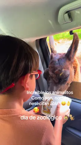 Compartiendo tiempo en familia lo más hermoso 🤩 ❤️🥰#viraltiktok #viral_video #zoologico #animales 