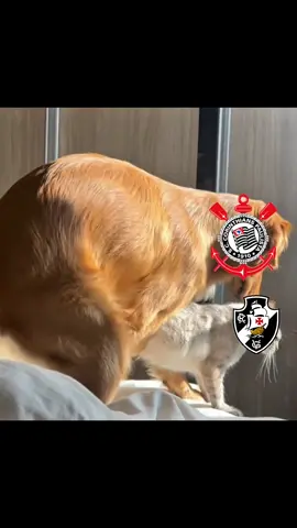 agora aguenta 🅱️🅱️🅱️🅱️asco#corinthians #vasco #edit #gols 