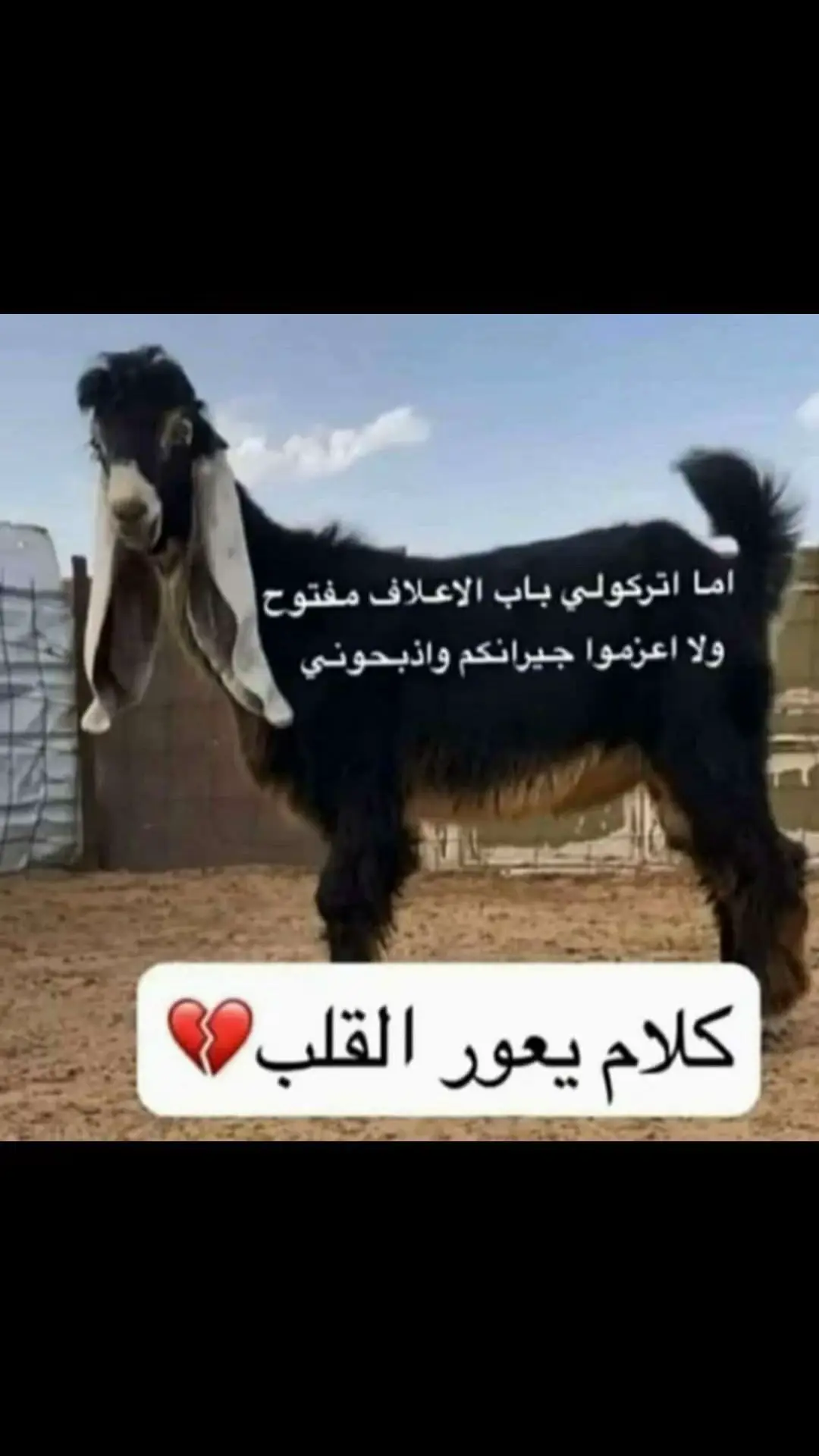 #في هذا اليوم 