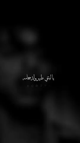 يا ليتني طيـر ولد حمامه#تصميم_فيديوهات🎶🎤🎬 #اكسبلوررر_اليمن_عدن_يافعإكسبلورر #صنعاء_تعز_عدن_اب_ذمار_حجة_حضرموت 
