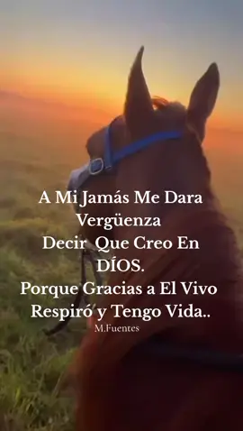 A Mi Jamás Me Dara Vergüenza... . . #Frases #Reflexiones #Motivacion #Dios #Naturaleza 