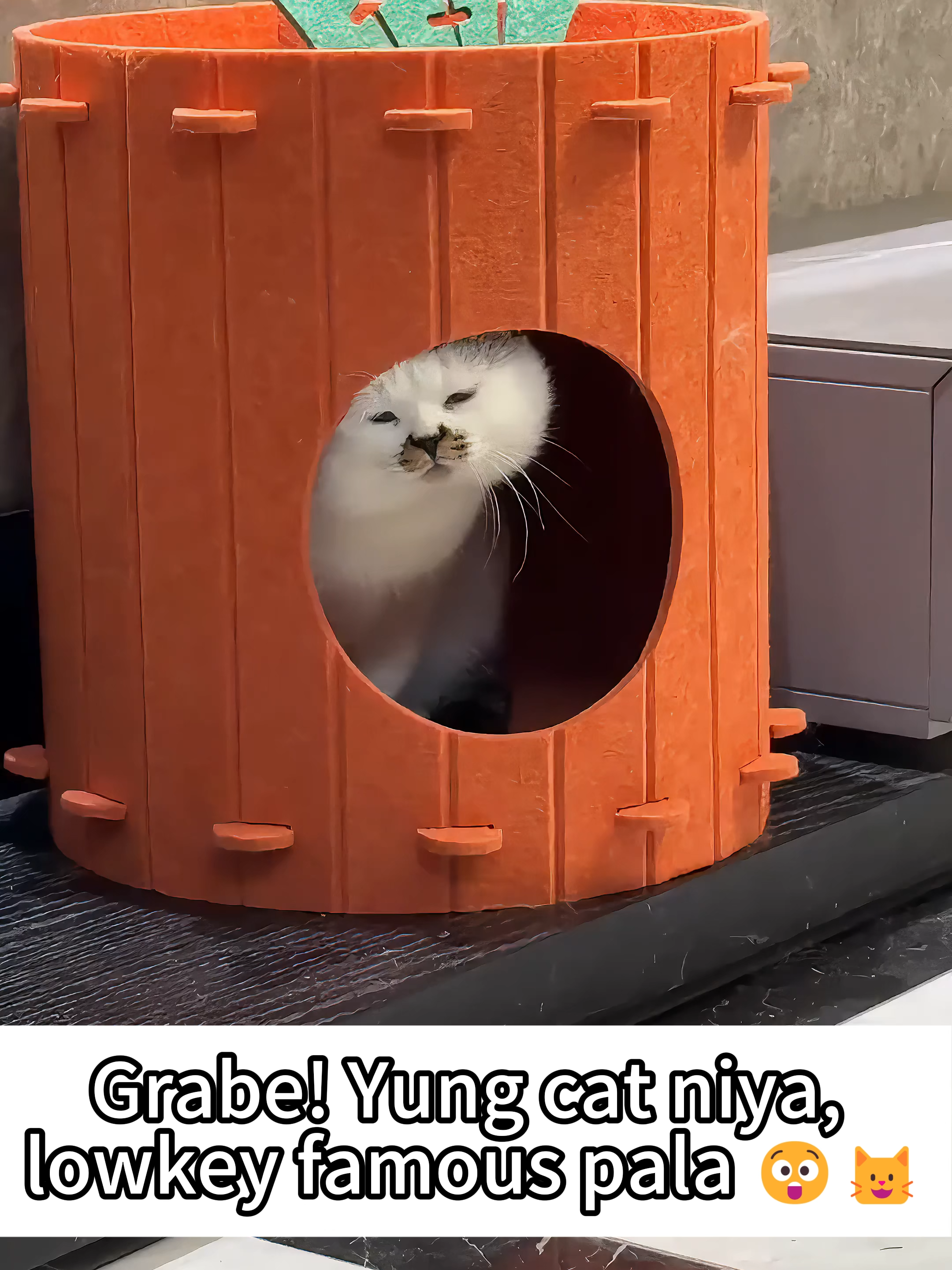 Ang kulit! 😂 My cat dancing to the beat 🐱💃#catsoftiktok #cutecats #fyp #catlover #foryouu