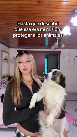 Jajaja Lol #medicinaveterinaria #estudiantes #veterinaria #animals #vida 