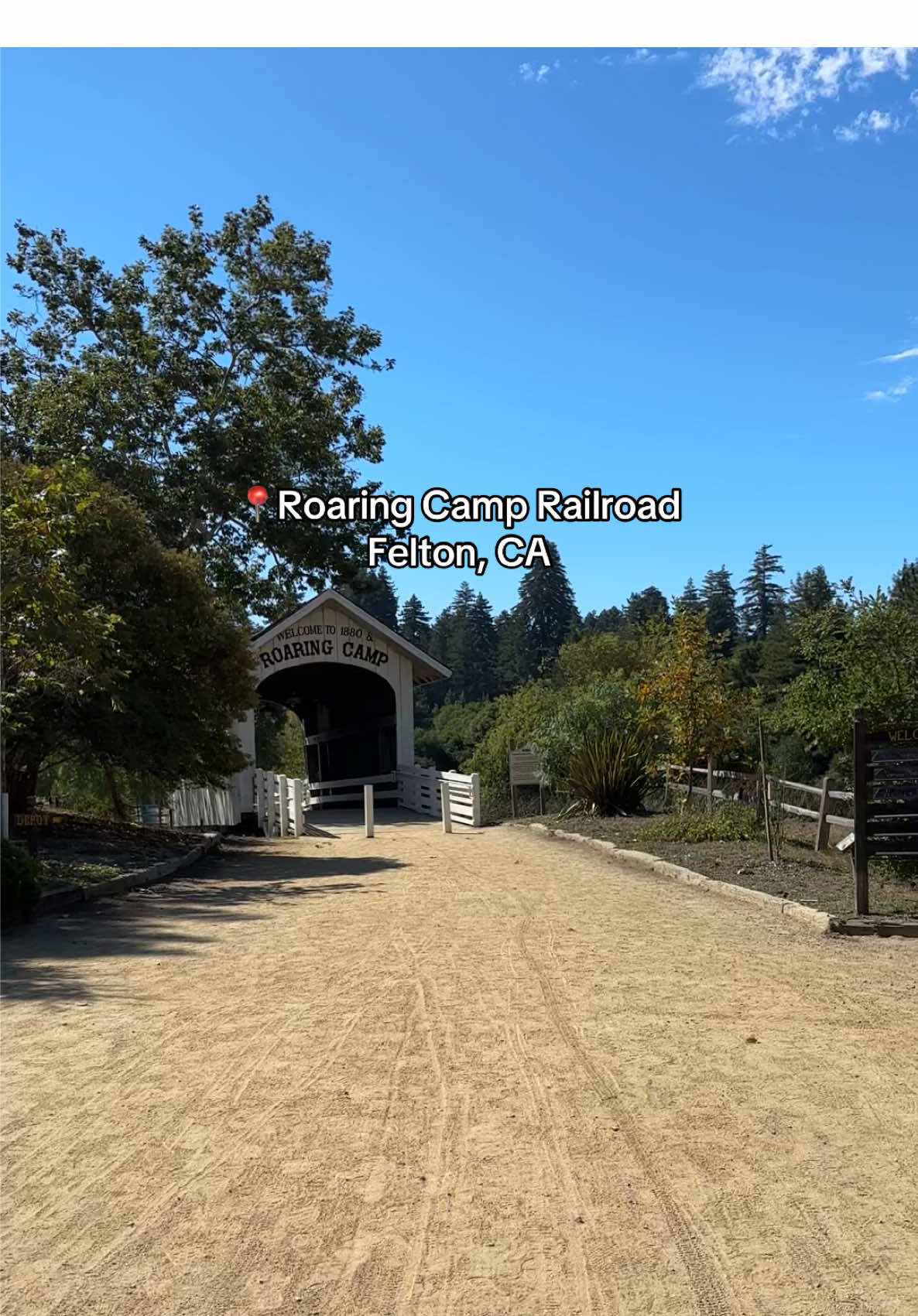 A day in Roaring camp Railroad #roaringcamprailroad #Santacruz #santacruzthingstodo #fyp