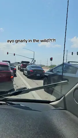 no wayyy, I just need fried chicken  @KATSEYE @Megan Skiendiel @meret manon @LARA RAJ @sophia laforteza @Yoonchae @daniela avanzini  #katseye_world #KATSEYE #Gnarly #gnarlykatseye #tesla 