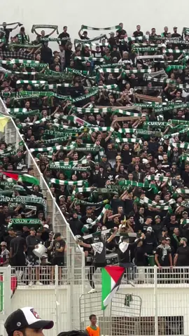 HaDa ZaHRi 🟢🦅⚪ #جمهور_الرجاء_البيضاوي💚 #تيم_الرجاء💚🦅 #حركة_إكسبلور #rajaclubathleticofficiel  #creatorsearchinsights 