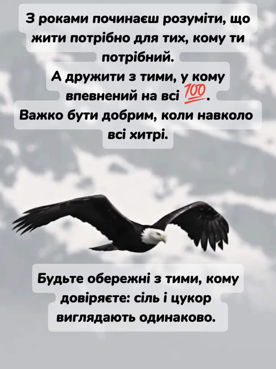 #життя_як_воно_є 