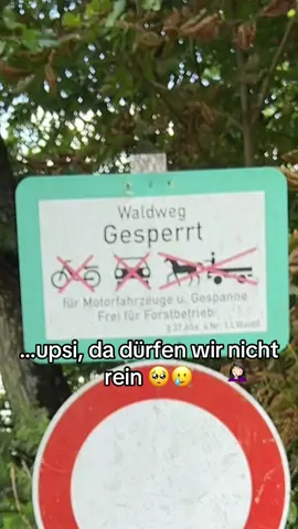 #eroller #spazieren #witzig #eheleben #fyp 