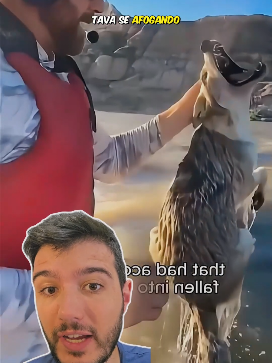 Eles Acharam um LOBO na ÁGUA! 😱