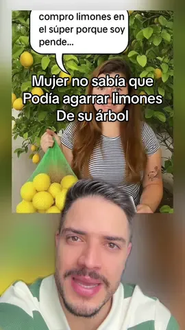 Una mujer no sabía que podía agarrar limones de su árbol 🤡😂