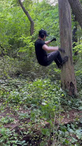 Hostile operations have commenced against a deceased tree. Current tools are insufficient, but a strategy for complete removal is in motion. #nature #tree #kick #ak #plants
