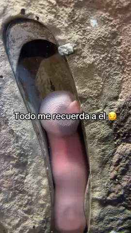 🤣🤣🤣