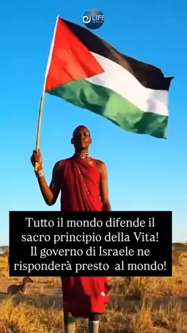 IL MONDO DIFENDE IL SANO PRINCIPIO DELLA VITA🇵🇸💫 #viral #viralvideos #fyp #CapCut #foryoupage❤️❤️ 