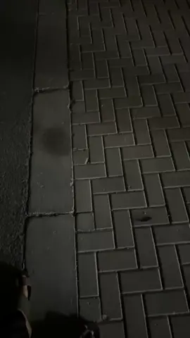 #viral 🫩
