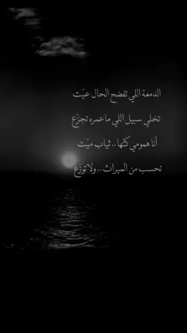 #في هذا اليوم 