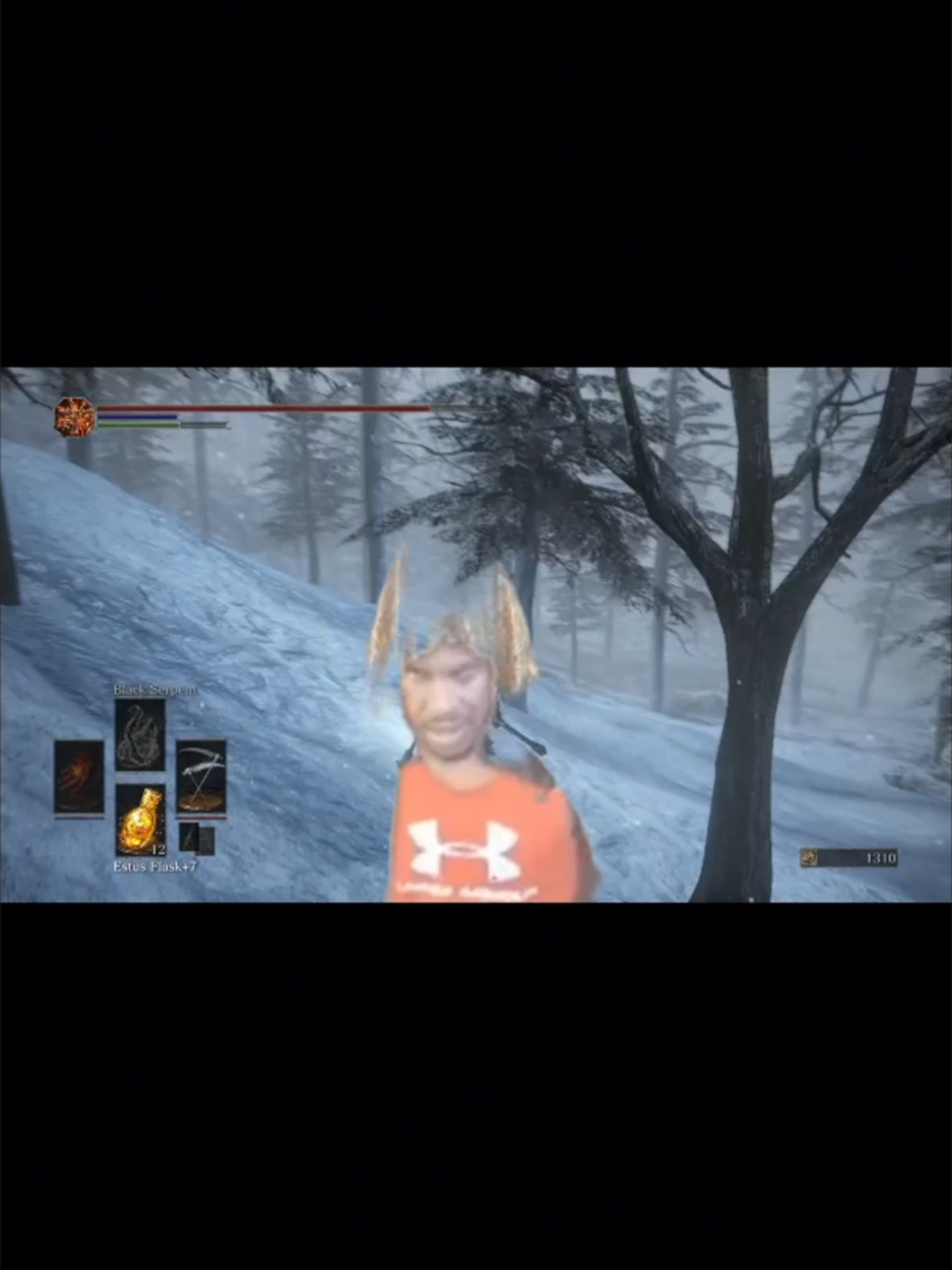 #paintedworldofariandel #darksouls #lowtiergod #darksouls3 #lowtiergodedit #paintedworldofariamis