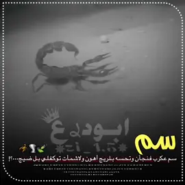 كاطع المياحي #عبارات_جميلة_وقويه😉 ##خيل_وخياله🐎صعدو #تصميم_فيديوهات🎶🎤🎬تصميمي🔥 #dtiktokofficialfyp #fyppppppppppppppppppp 