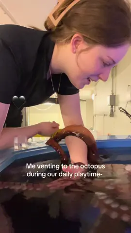 She’s knows what you did… and she is judging you 😑🫵 #fyp #trending #marinebiology #foryoupage #octopus 