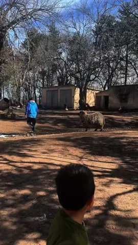 no te confunda conmigo