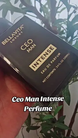 #Ceo #Man #Intense #Perfume #bellavita 