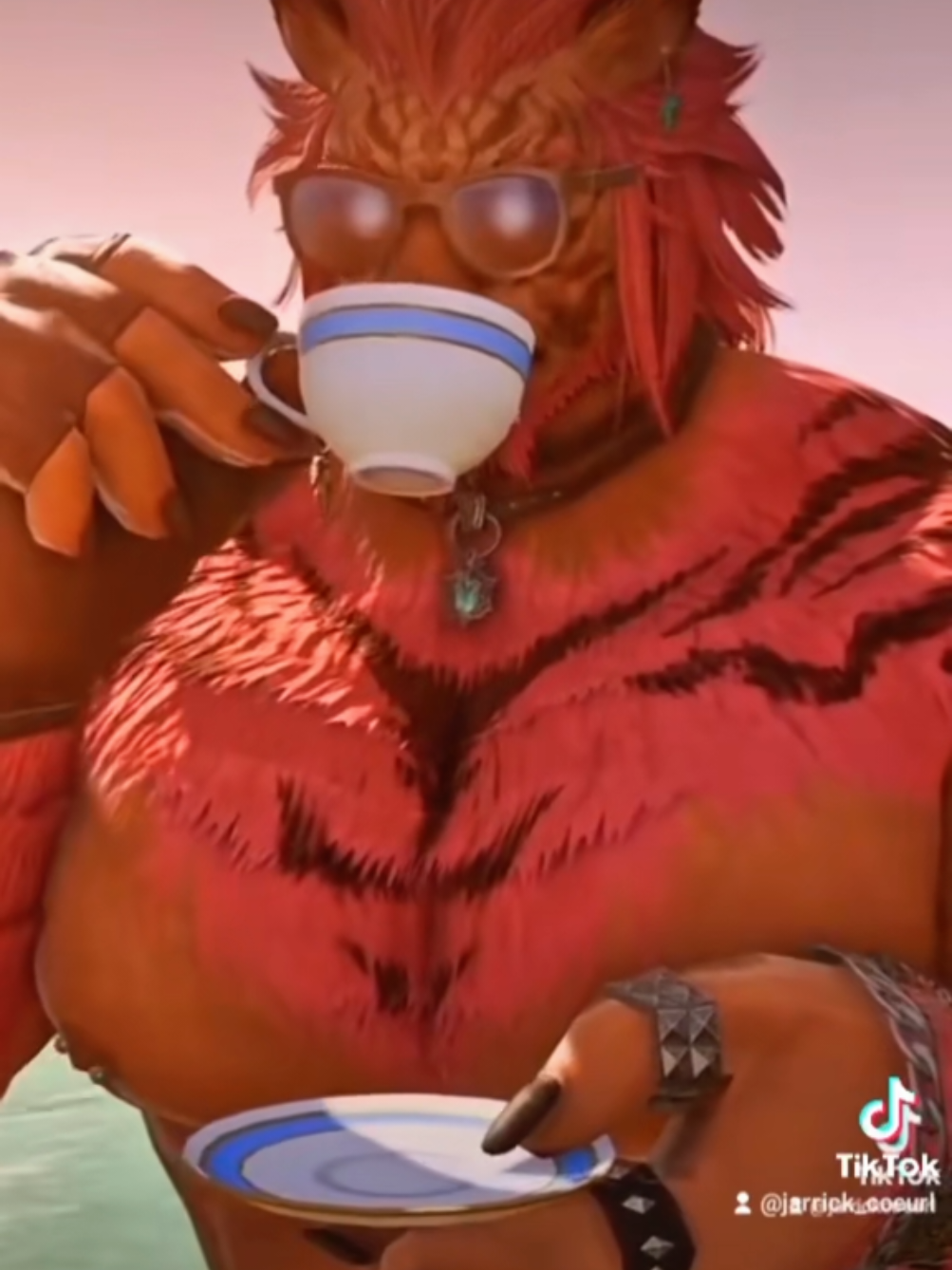I like to be subtle with my hints 😽 #ffxivonline #finalfantasyxivtok #finalfantasyxiv #finalfantasytiktok #ffxivtok 