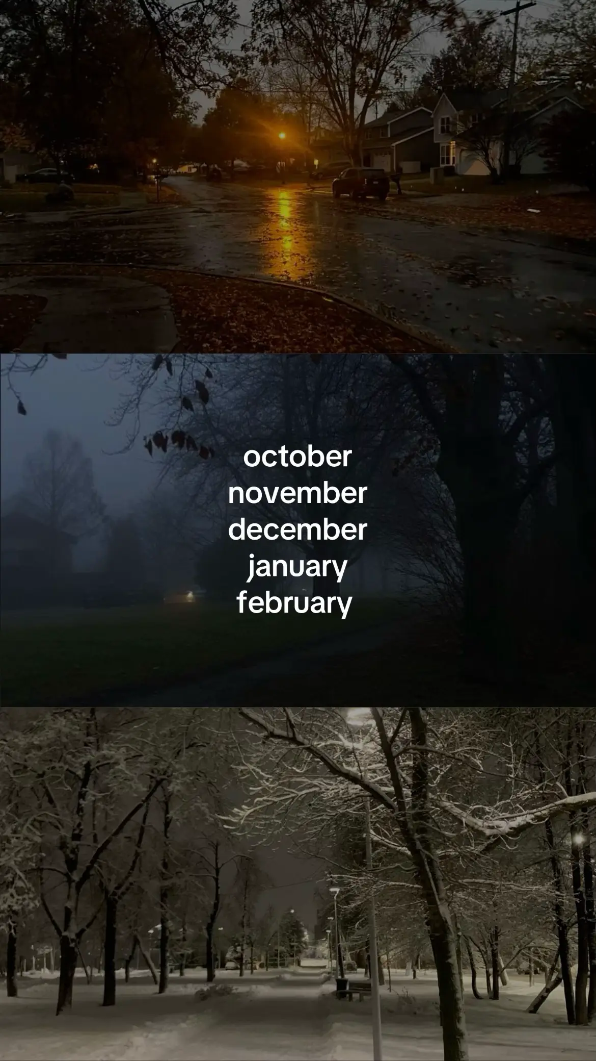 this song gives me nostalgia from winter 24 #foryou #fyp #viral #winterdepression #autumn #blowthisupforme #snow #rain 