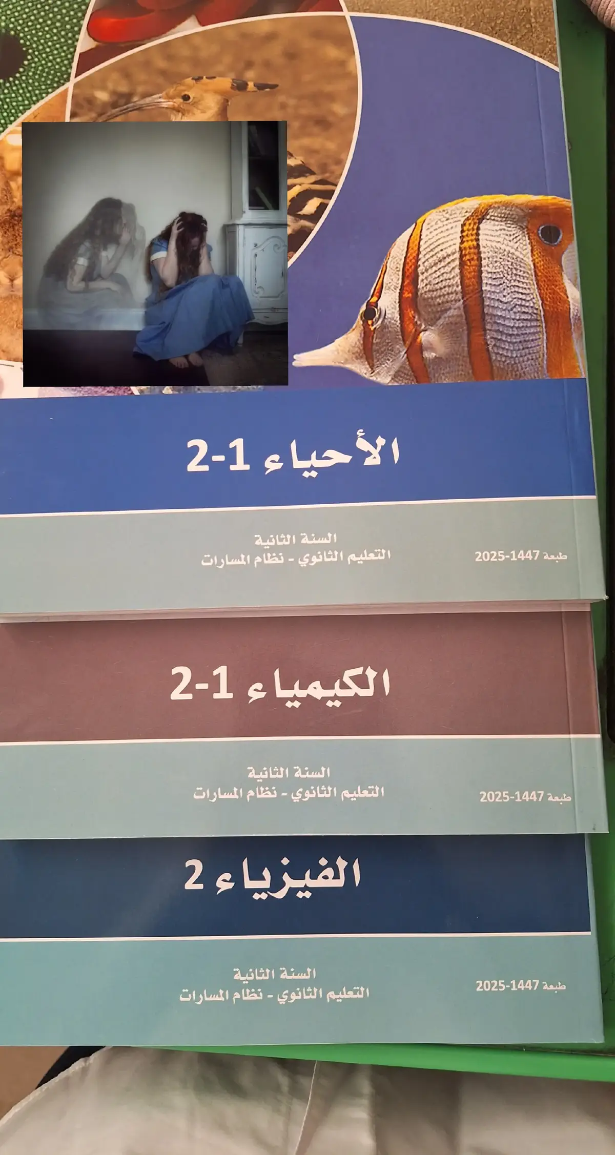 #fyp #help #ثانوي#قدرات#يخوف 