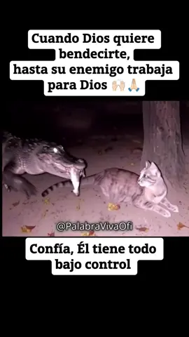 Cuando Dios quiere bendecirte‼️