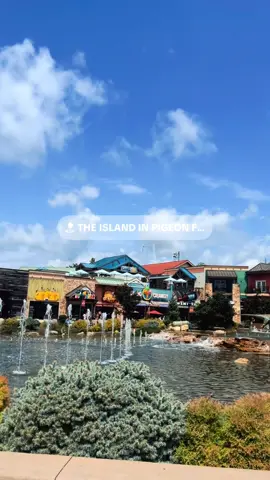 Spent our last day walking around the island with grumpy kids 🤣 jk we all had fun we’re just tired! #fyp #vacation #pigeonforge #theisland #dinosaurs 
