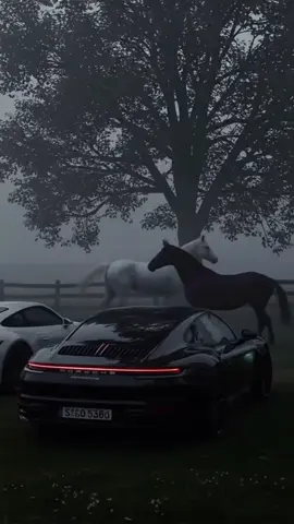 #fyp #horse #porsche 